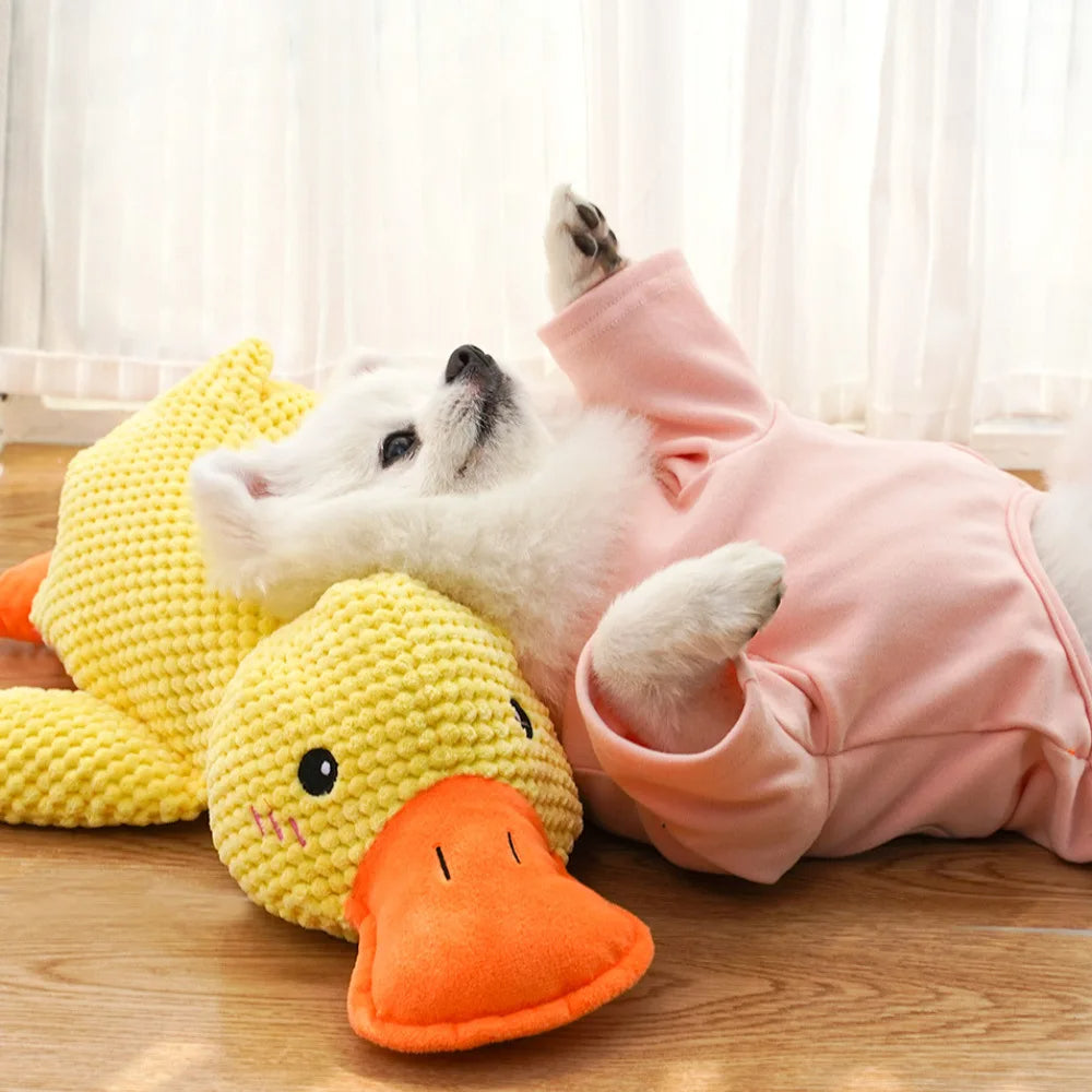 Kwacząca Kaczka: Gryzak dla Psów (S/M/L) 🦆