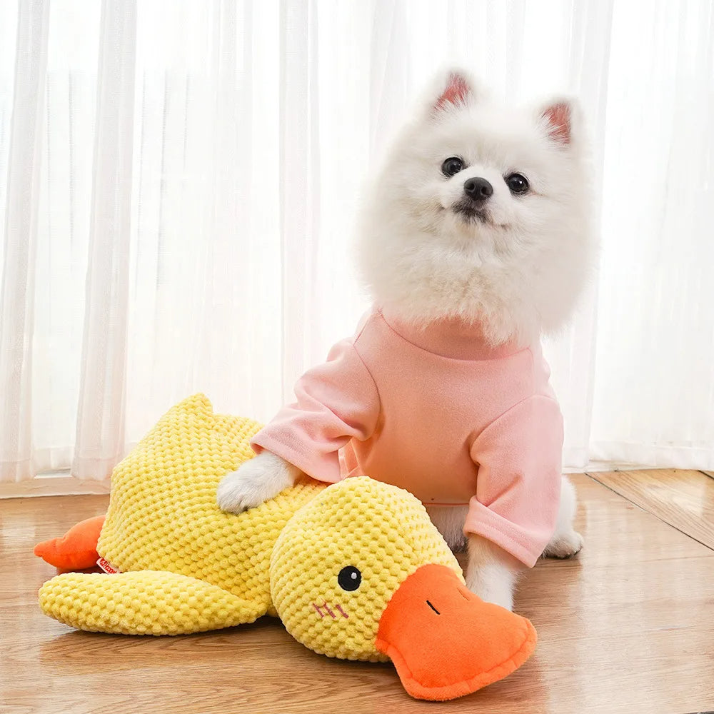 Kwacząca Kaczka: Gryzak dla Psów (S/M/L) 🦆