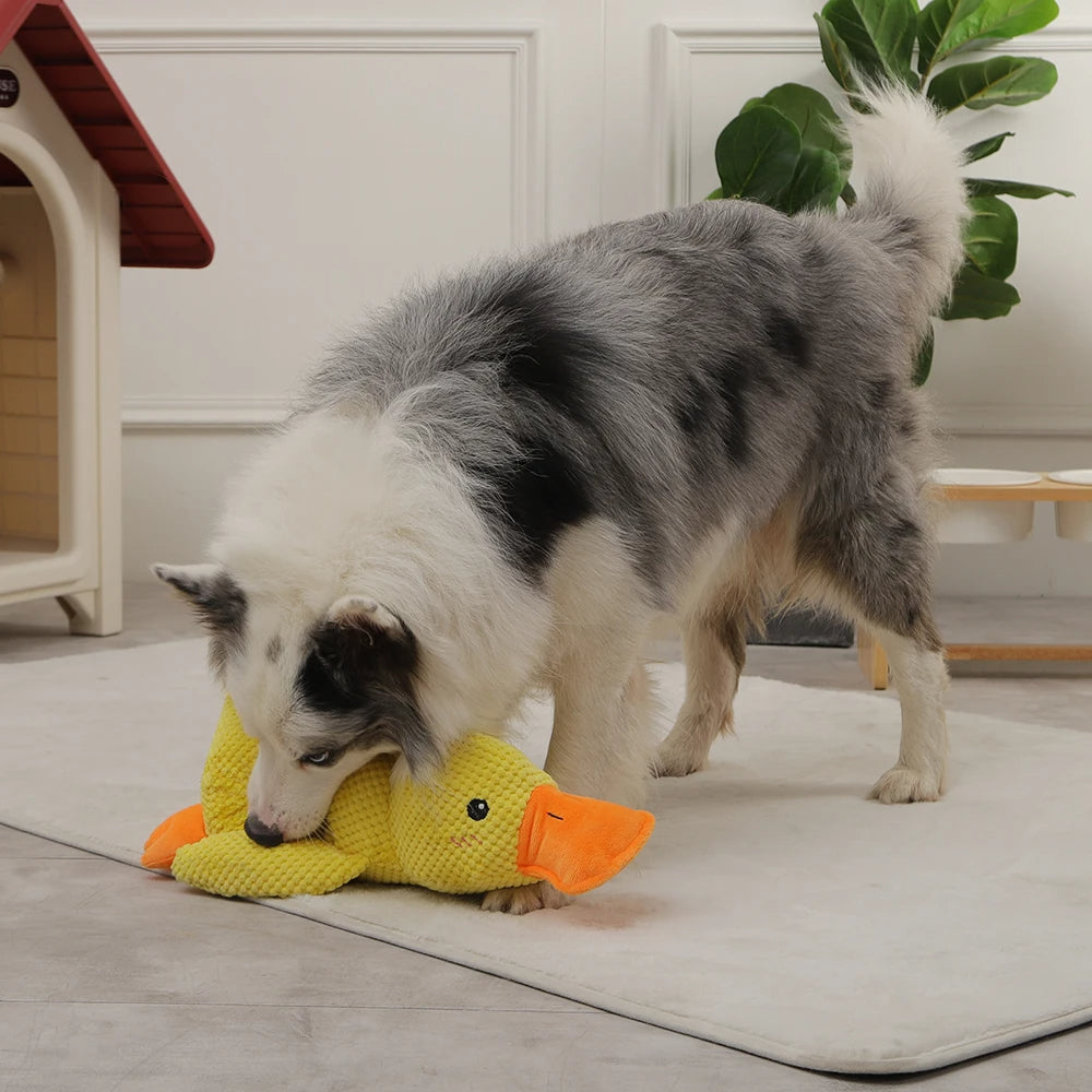 Kwacząca Kaczka: Gryzak dla Psów (S/M/L) 🦆