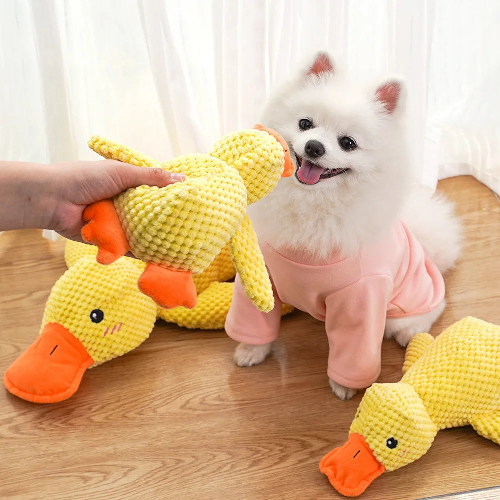 Kwacząca Kaczka: Gryzak dla Psów (S/M/L) 🦆