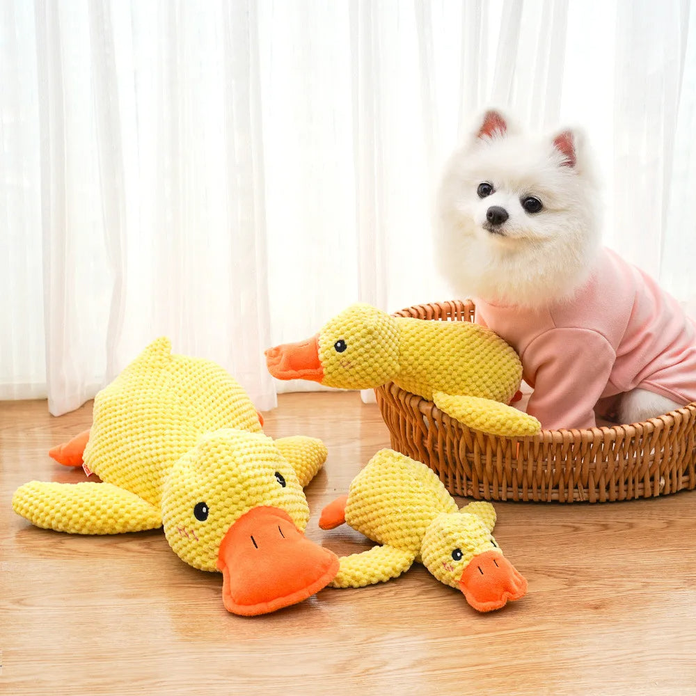 Kwacząca Kaczka: Gryzak dla Psów (S/M/L) 🦆