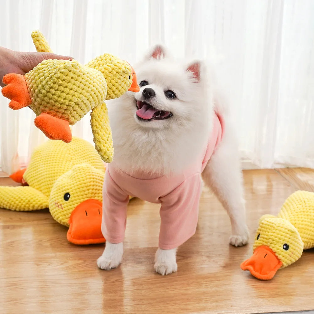 Kwacząca Kaczka: Gryzak dla Psów (S/M/L) 🦆
