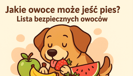 zdjecie tematyczne jakie owoce może jeść pies