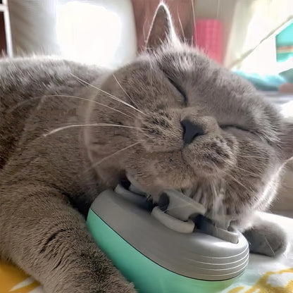 Wielofunkcyjny Elektryczny Masażer dla Kota 🐾
