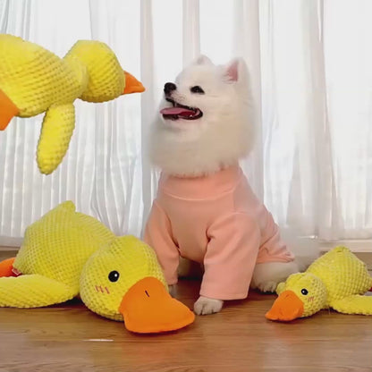 Kwacząca Kaczka: Gryzak dla Psów (S/M/L) 🦆