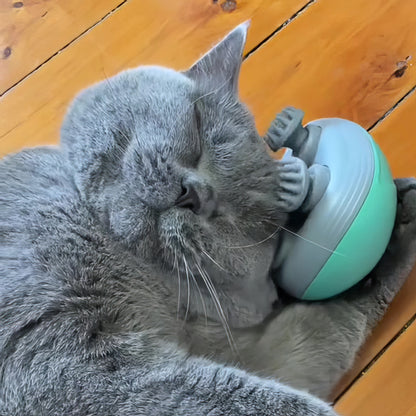 Wielofunkcyjny Elektryczny Masażer dla Kota 🐾